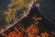 西川和也