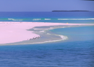 鍋島タモツ